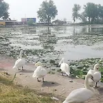 Pensiunea Scoika Steaguri Πανσιόν Neptun