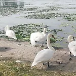 Pensiunea Scoika Steaguri Πανσιόν Neptun