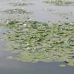 Pensiunea Scoika Steaguri 4*