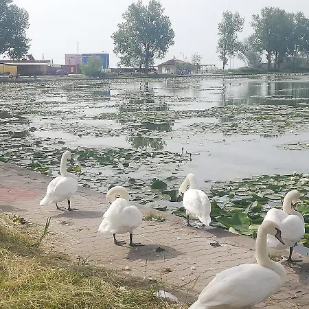 Pensiunea Scoika Steaguri Penzion Neptun