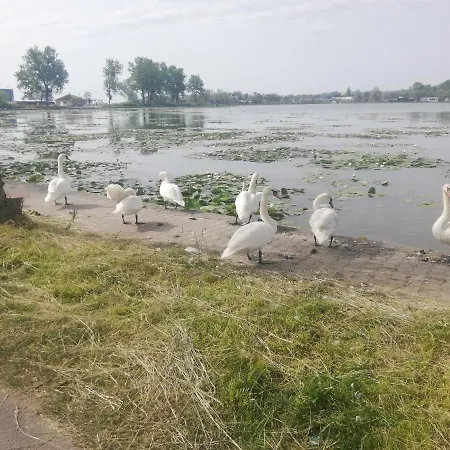 Pensiunea Scoika Steaguri Penzion Neptun