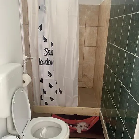 Pensiunea Scoika Steaguri Neptun